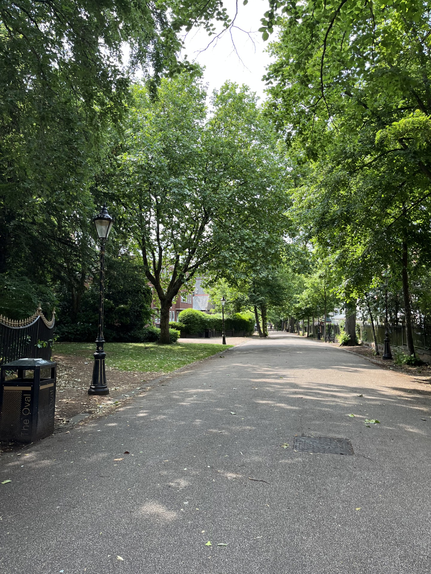 trees at Victoria Park