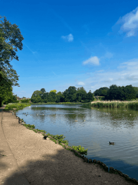 A view of water at Abbey Fields