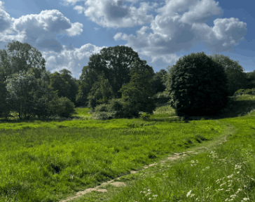 A green field with trees in Coventry