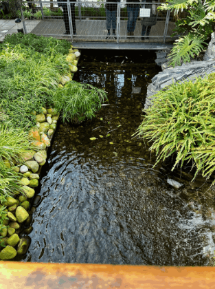 A river at Jephson Gardens