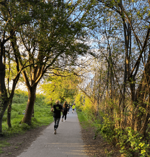 A group of runners running down a woodland path