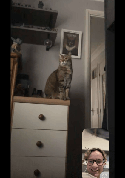 A female student on video chat with her cat
